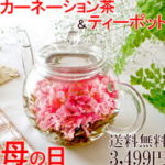 カーネーション茶＋ティーポットセット